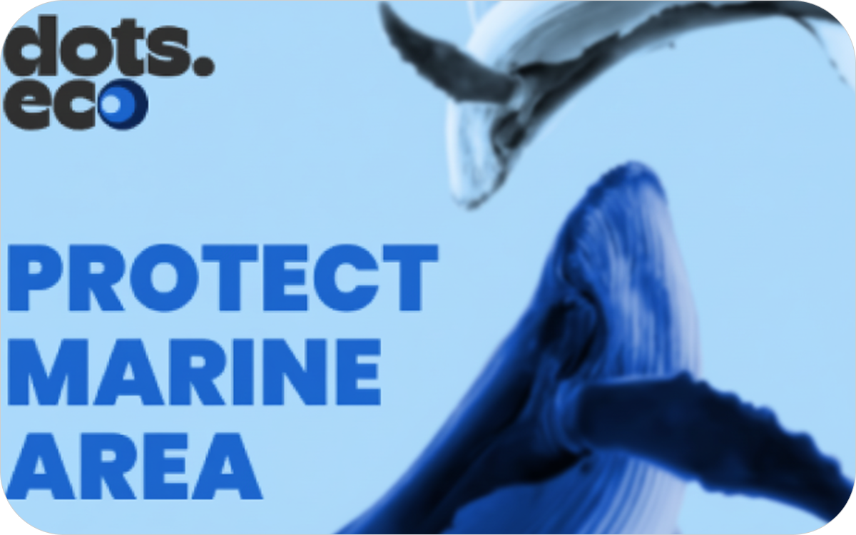 Dots.Eco - Meeresgebiet Schützen Germany