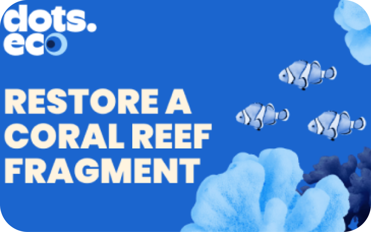 Dots.eco - Restore a Coral Reef Fragment