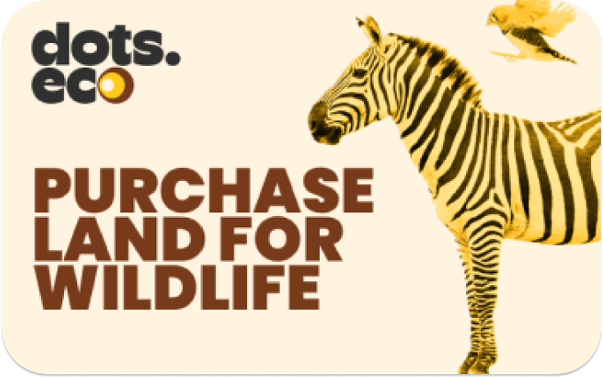 Dots.Eco - Land Für Wildtiere Kaufen Germany