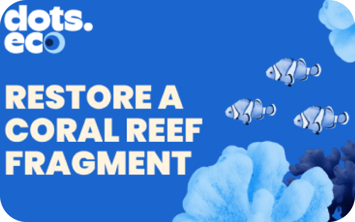 Dots.Eco - Wiederherstellung Von Korallenriffen Germany