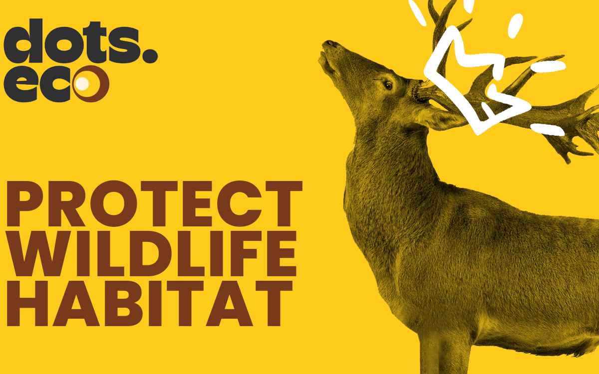 Dots.eco - Protect Wildlife Habitat