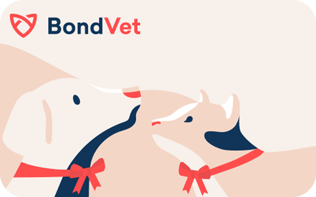 Bond Vet